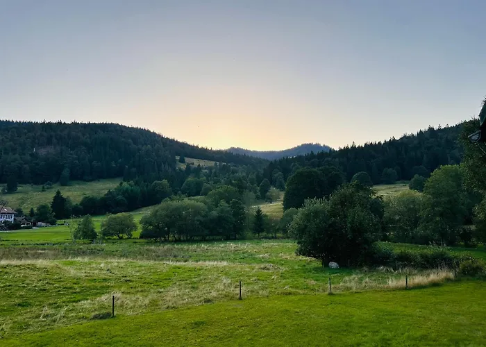 Schwarzwald Loft Panoramablick Menzenschwand