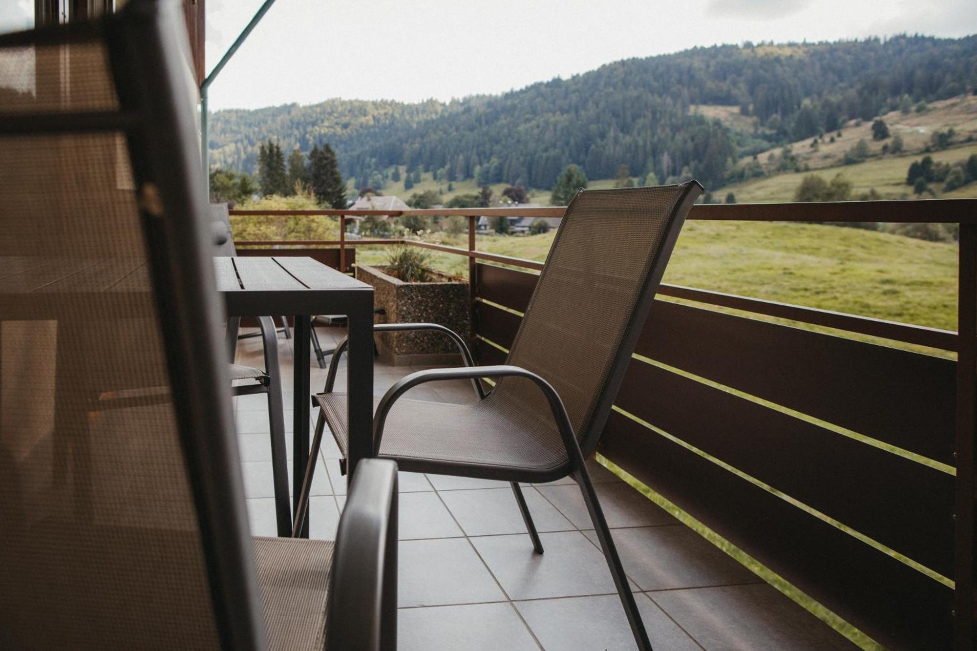 Schwarzwald Loft Panoramablick Menzenschwand Apartment *