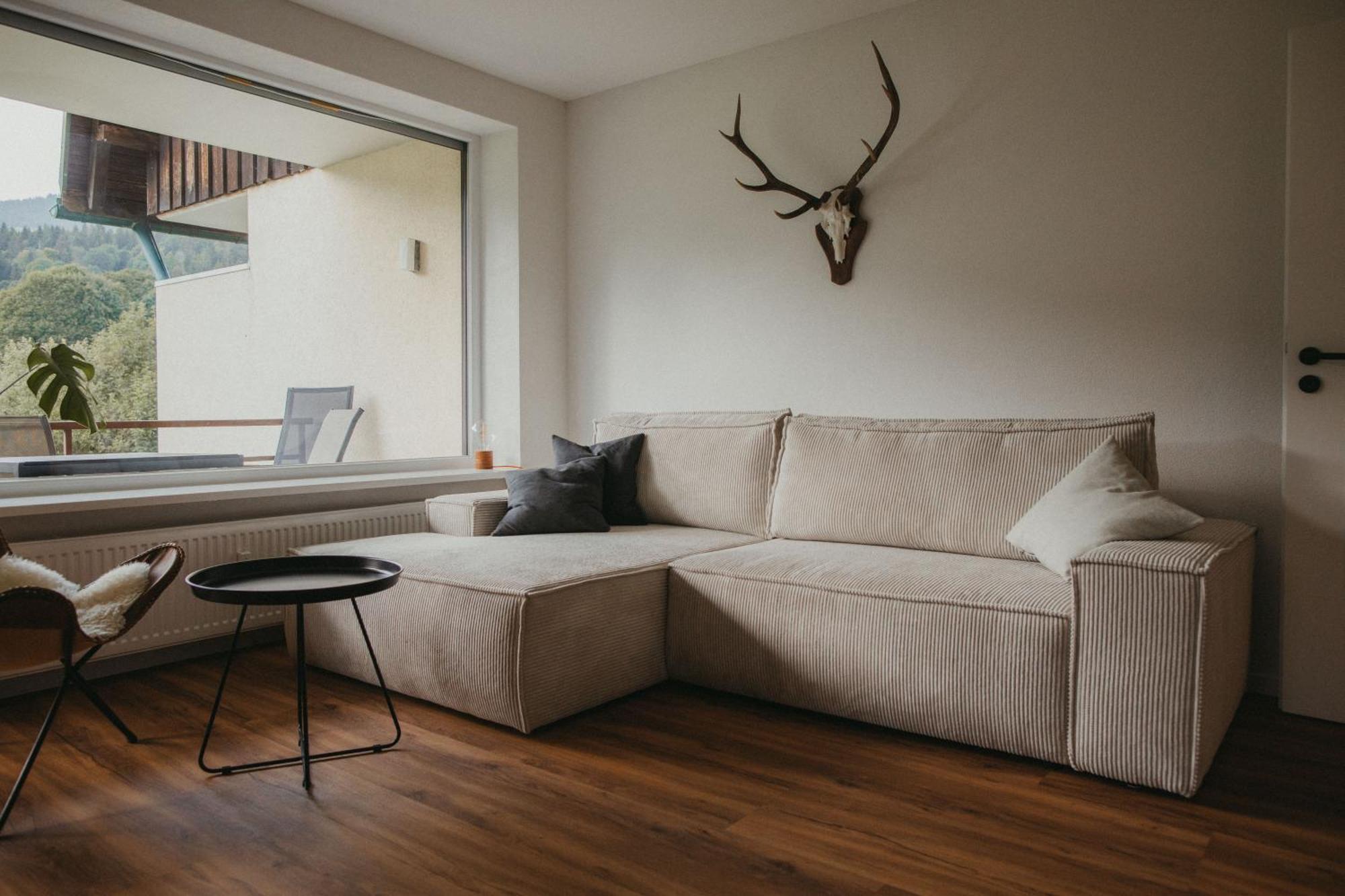 Apartment Schwarzwald Loft Panoramablick Menzenschwand St. Blasien