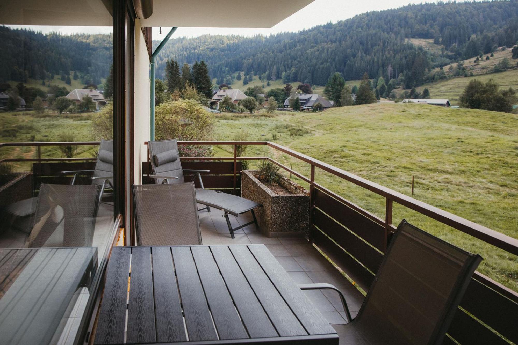 Schwarzwald Loft Panoramablick Menzenschwand *