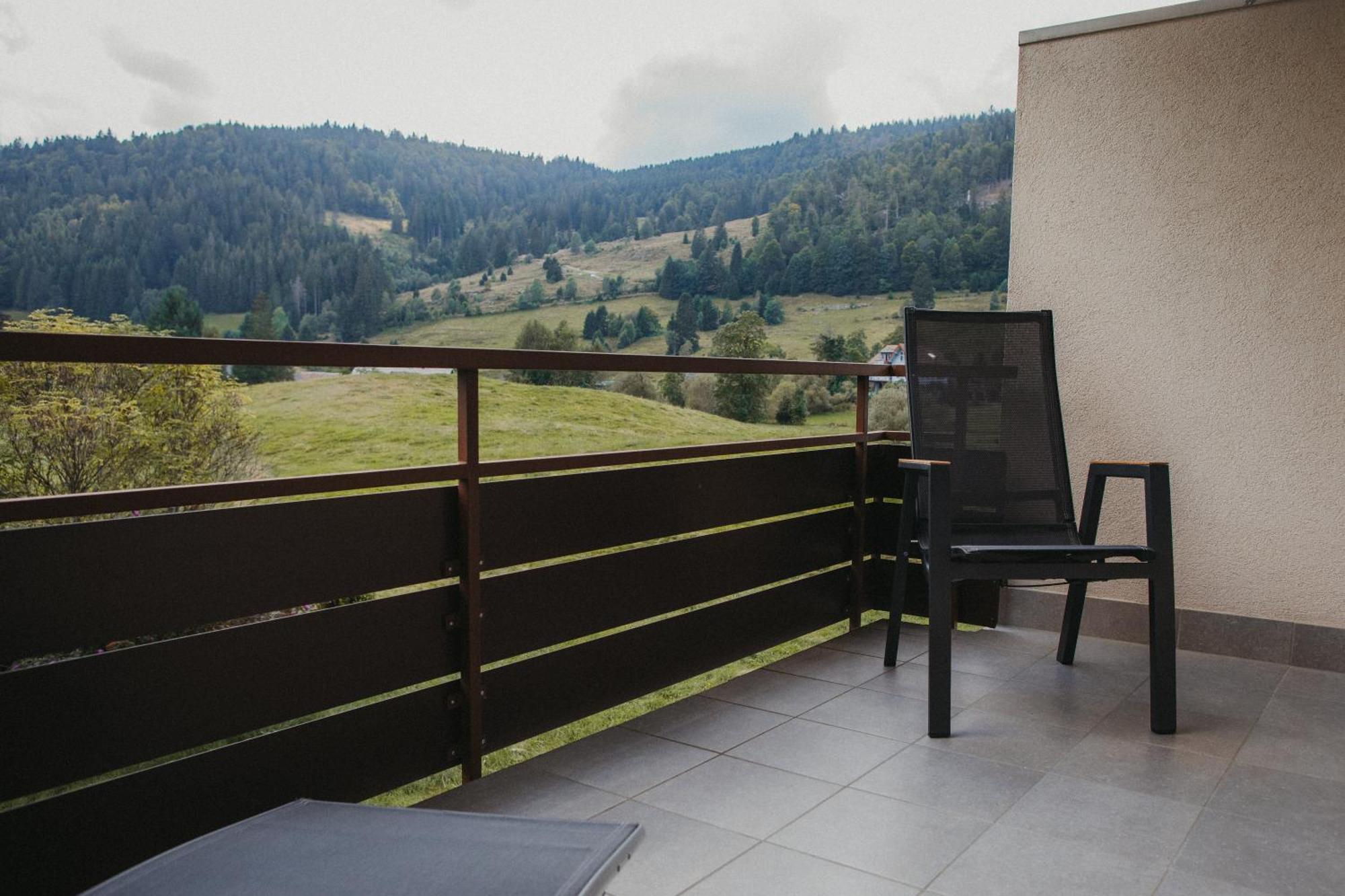 Schwarzwald Loft Panoramablick Menzenschwand * St. Blasien